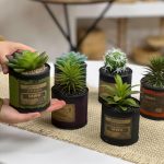 کاکتوس فلزی - تصویر 2