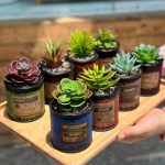 کاکتوس فلزی