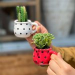 مینی گلدان فنجون کاکتوس