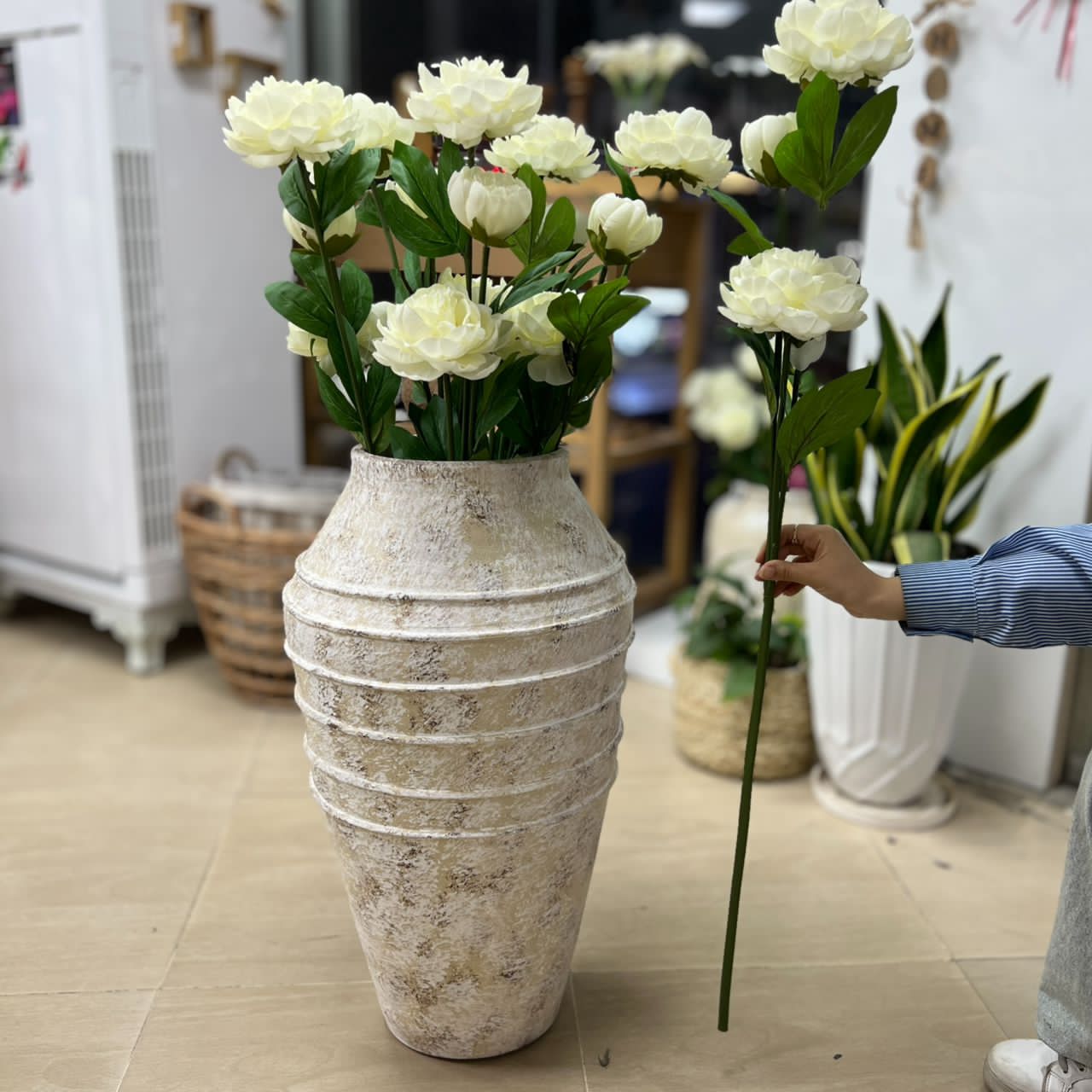 IMG-20250803-WA0075 پیونی سفید بلند - تصویر 1