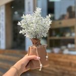 گلدان شکوفه برفی - تصویر 2