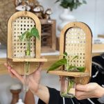 جاکلیدی پتوس