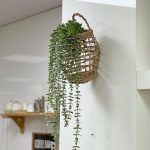 سبد گردو / گل - تصویر 2