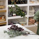 شاخه اکالیپتوس