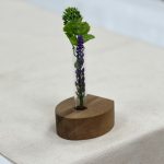 مینی گلدان پیچک