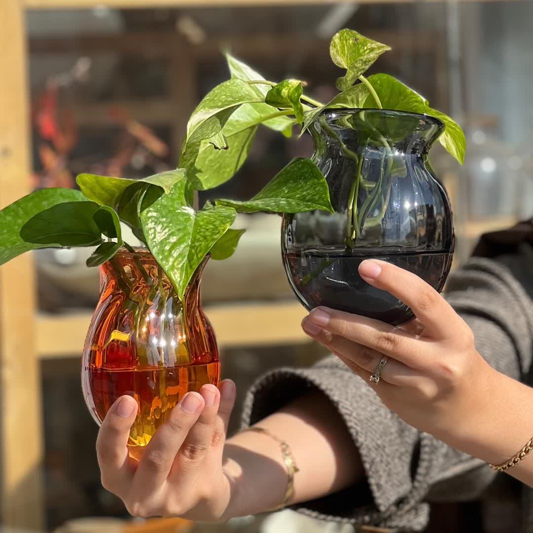 photo_25_2026-01-30_13-06-52 گلدان دیواری شیشه ای - تصویر 1